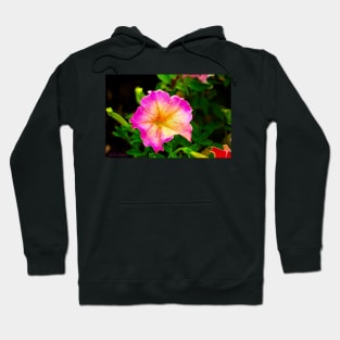 Light Magenta Petunia Hoodie